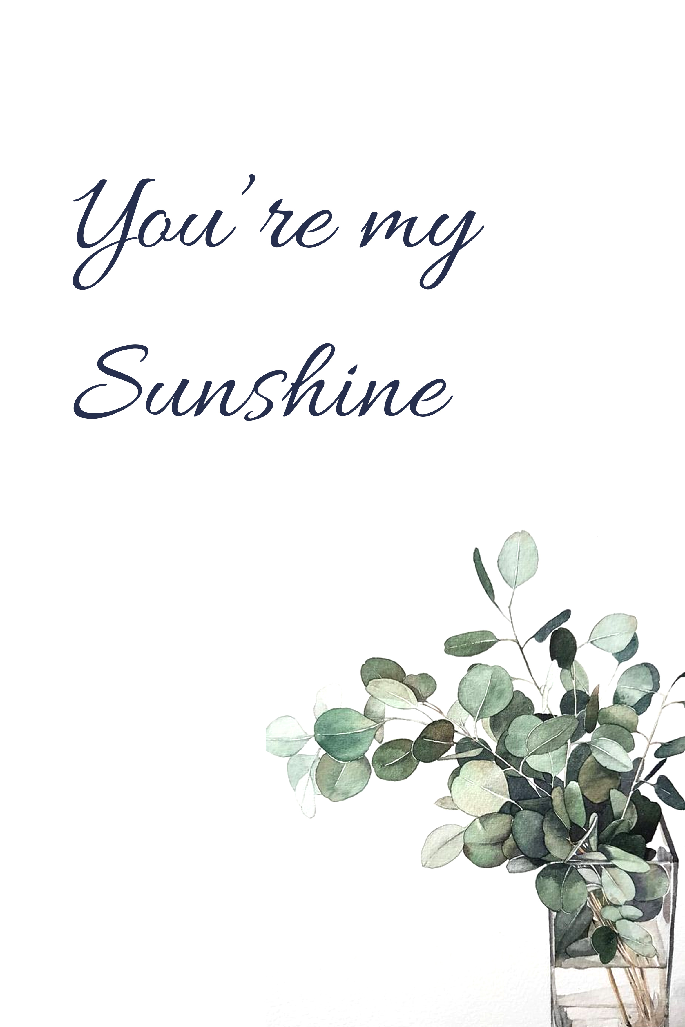 My Sunshine - Việt Anh & Khánh Linh